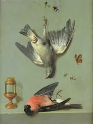 Naturaleza Muerta con Pájaros e Insectos, 1713